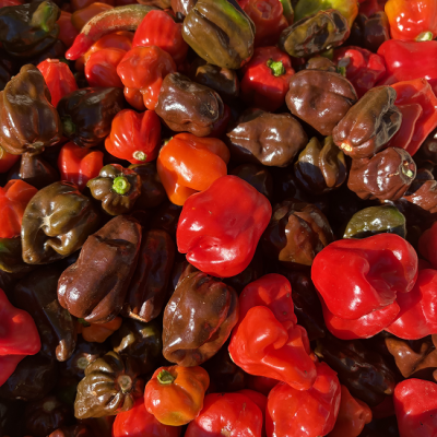 nos-produits-pimentes