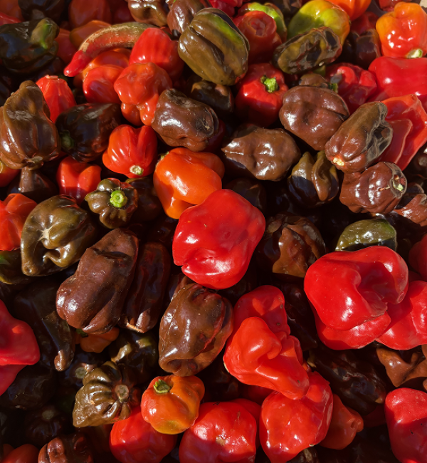 nos-produits-pimentes