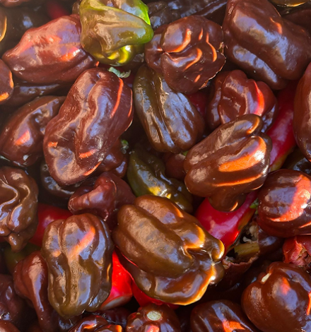 restauration-et-diversite